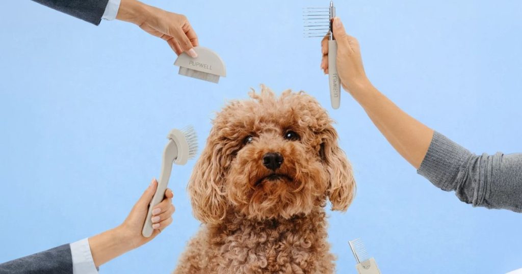 houndpets.com Review: Pet Supplies and Care Tips houndpets com
